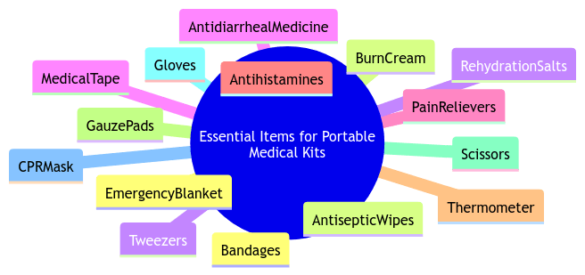 Essential Items for PortableMedical Kits